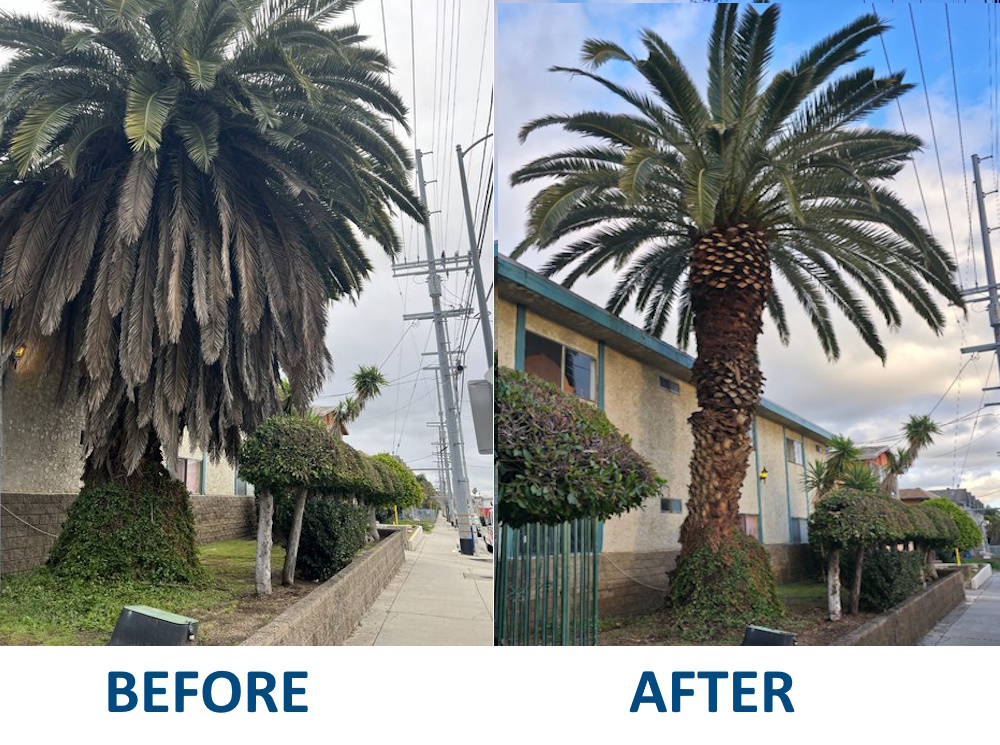 Image Before After 1